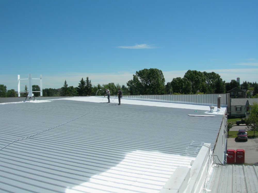 two gentleman on roof working